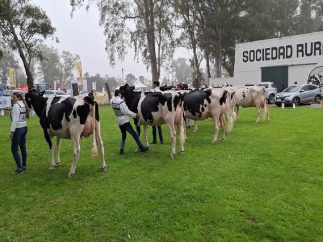 Todo L&aacute;ctea: Expo 2026