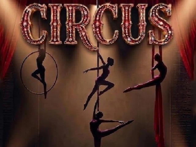 Pole Dance: Circus