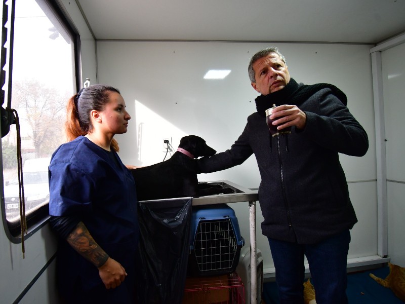 El municipio sigue promoviendo castraciones y vacunaciones de mascotas en los barrios