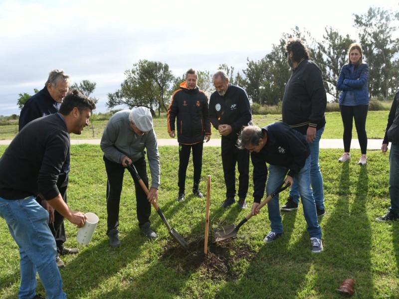 Municipio y Veteranos de Malvinas plantaron 40 nuevos ejemplares arbóreos en la costanera norte