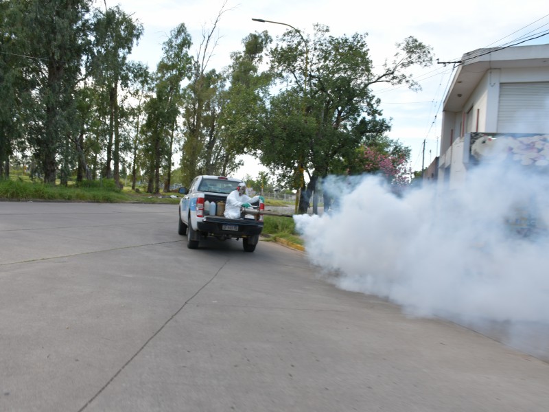 La Municipalidad intensificó su lucha contra el dengue con resultados exitosos