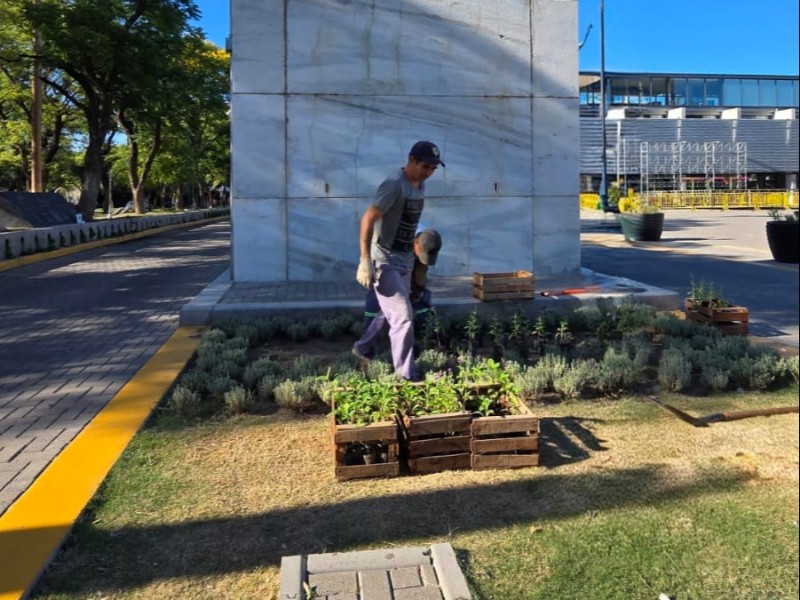 San Francisco inicia el año con remplazo de plantas para embellecer la ciudad